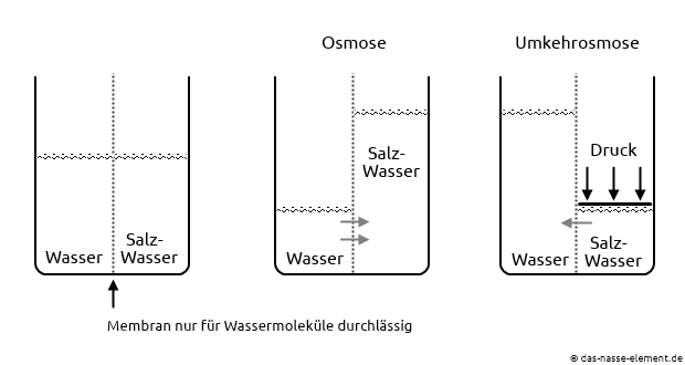 Osmose und Umkehrosmose.